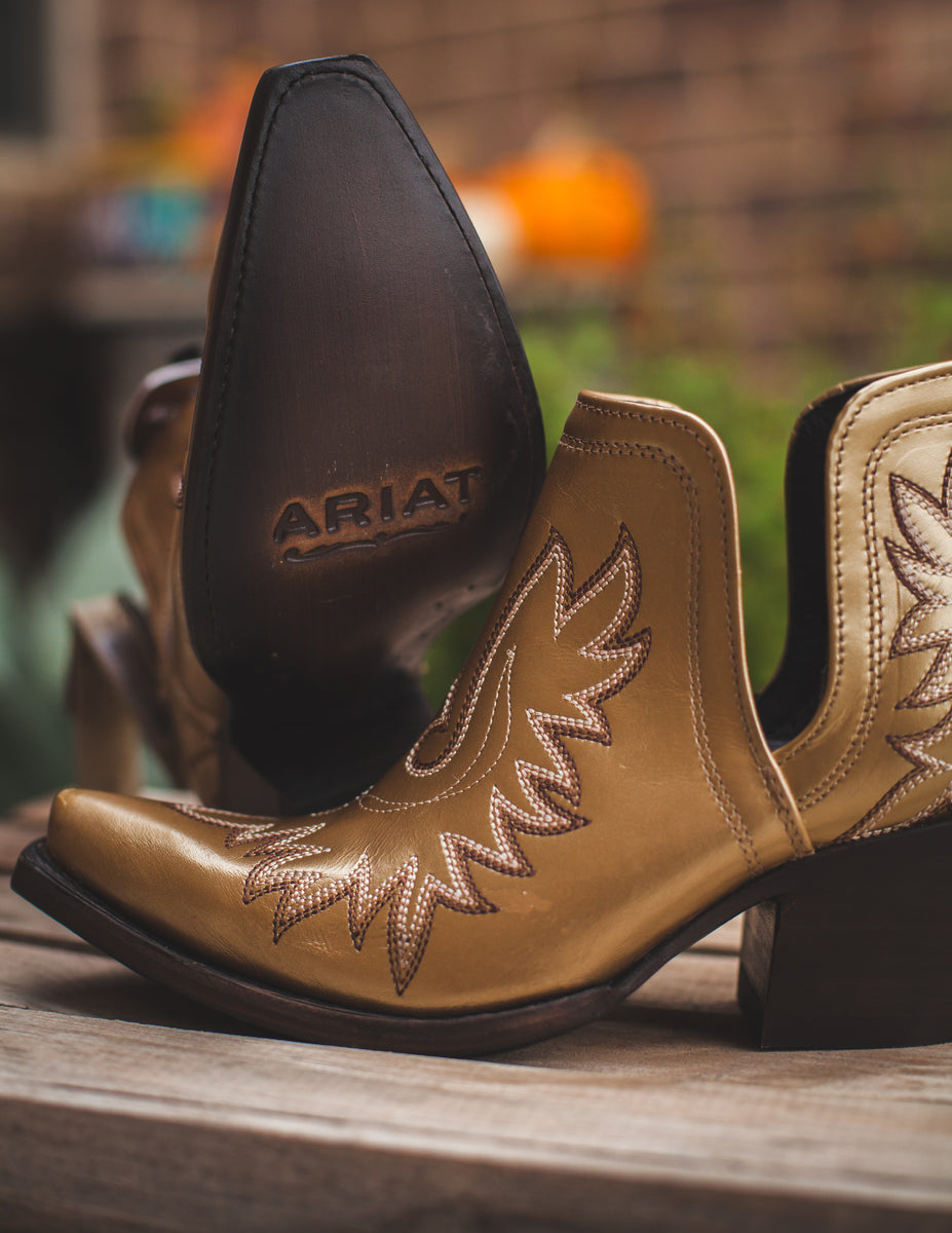 Ariat dixon hotsell gold